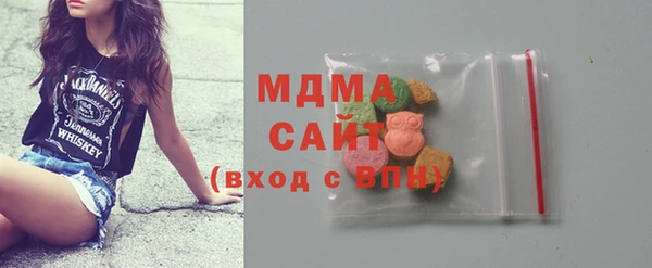 индика Богданович