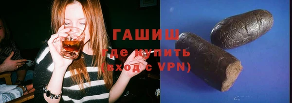 индика Богданович