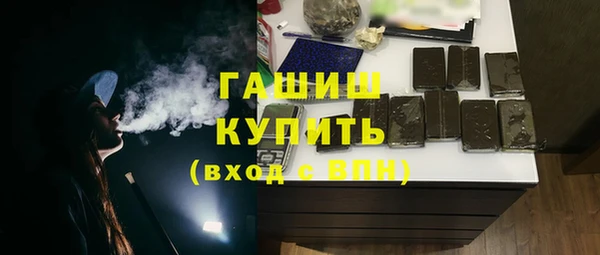 индика Богданович