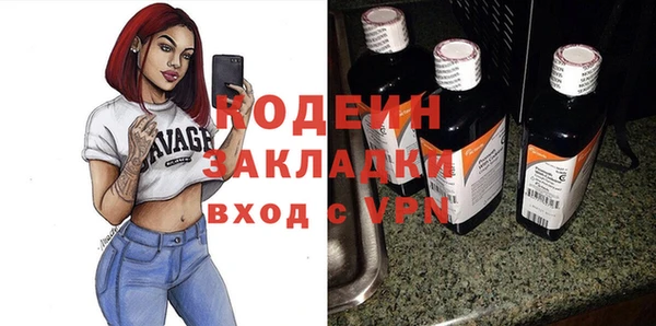 индика Богданович