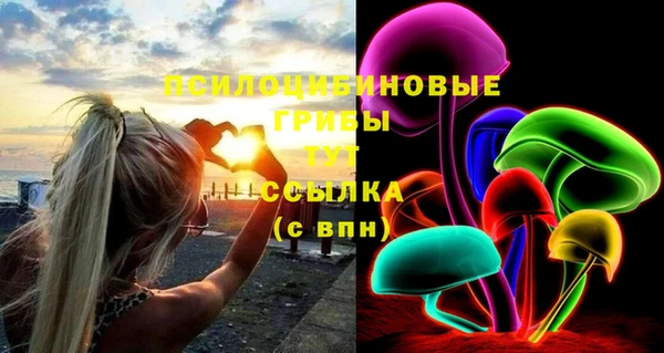прущий лед Богородск