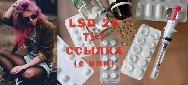индика Богданович