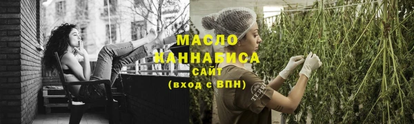 индика Богданович