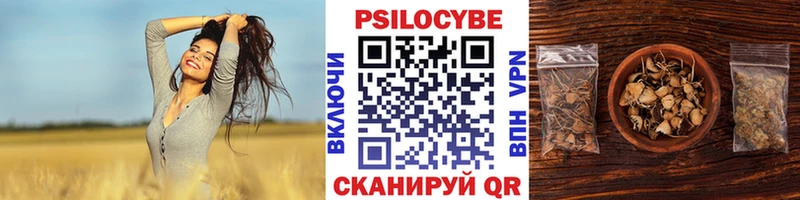 Галлюциногенные грибы Psilocybine cubensis  хочу   Городец 