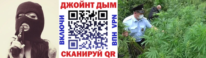 Конопля марихуана Городец